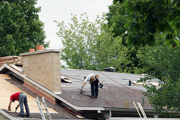 Best Metal Roofing Contractor  in Carthage, NC