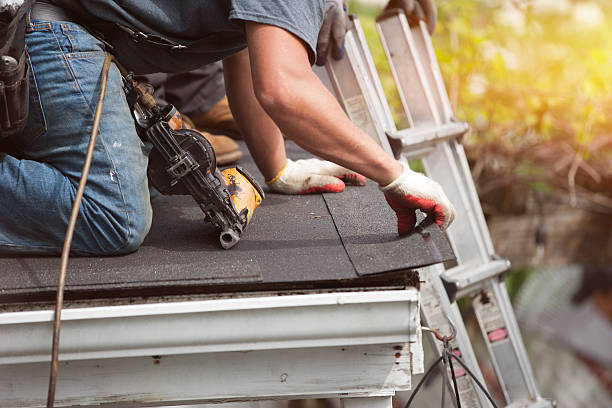 Best Roof Gutter Cleaning  in Carthage, NC